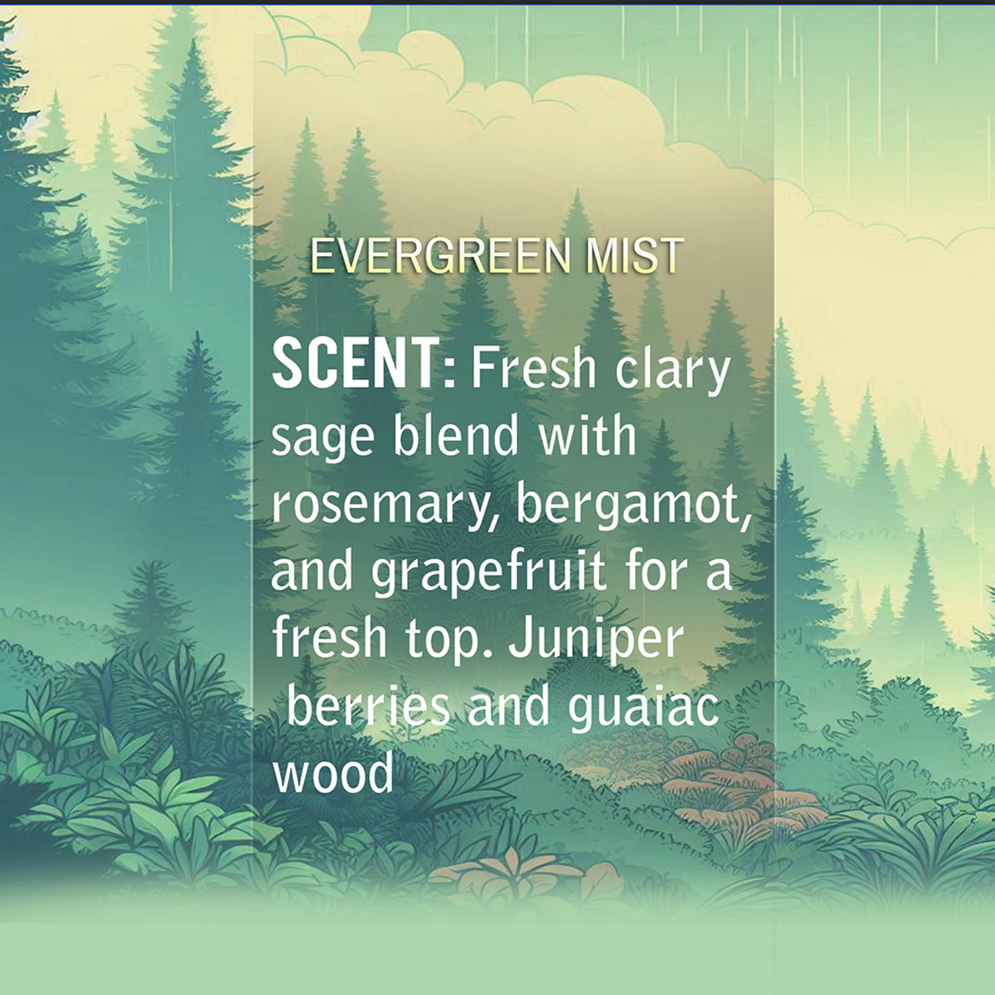 Evergreen Mist Natural Body Lotion Made With Sensitive Skin Fragrance Oil | Organic Unrefined African Shea Butter | Organic Sweet Almond Oil | Organic Avocado Oil